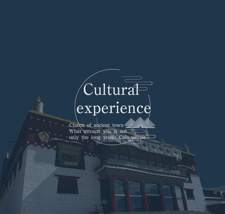 Cultural experience